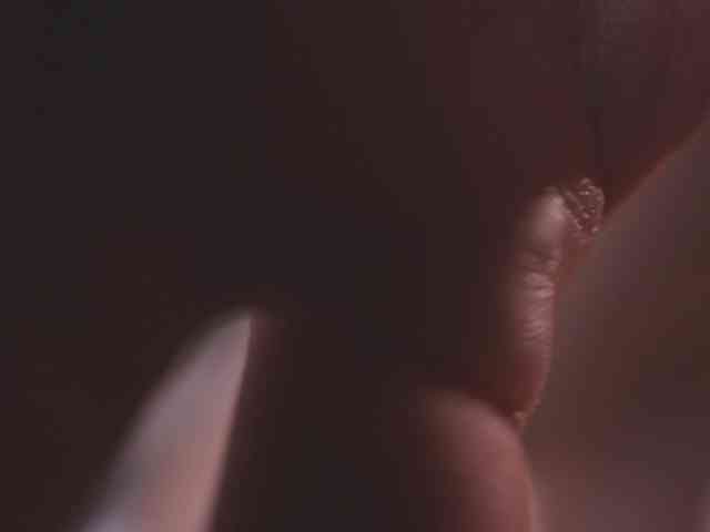 Modelo: AmyArmstrong
