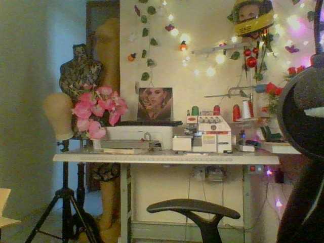 Preview of lilianjackson