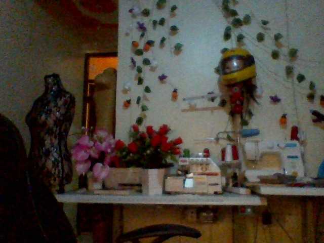 Preview of lilianjackson