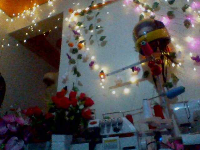 Preview of lilianjackson