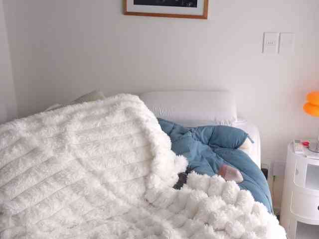 AyraLust webcam