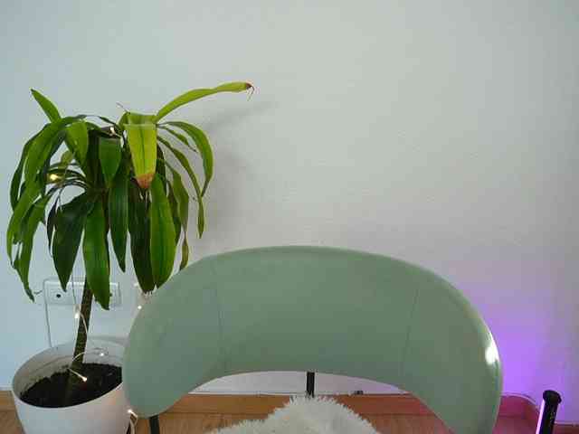 Ameliasweety webcam