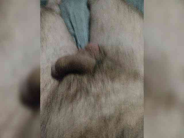 4leno4ek69 Sex Cam Show