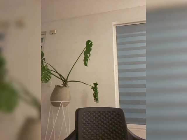 ChloeMontes live cam on BongaCams