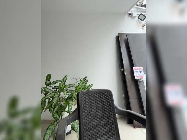 ChloeMontes live cam on BongaCams