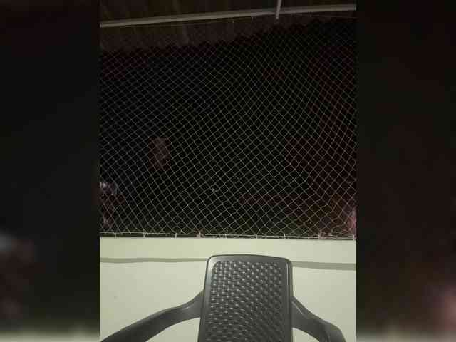 ChloeMontes webcam