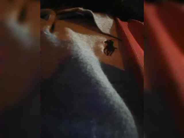 ChloeMontes webcam