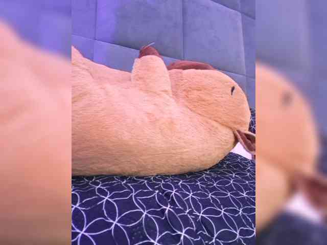 ChloeMontes webcam
