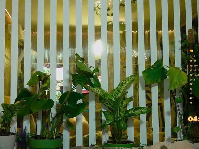 MiaLiaHot's BongaCams show and profile