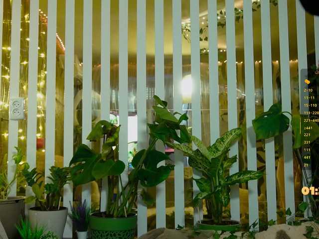 MiaLiaHot's BongaCams show and profile