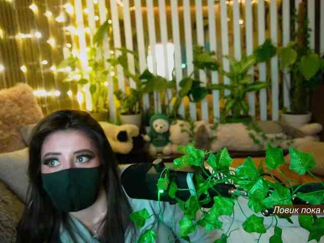 Flowwwer webcam