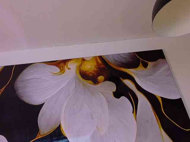 bloomsdream webcam