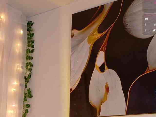 bloomsdream webcam