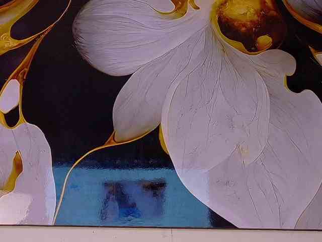 bloomsdream webcam