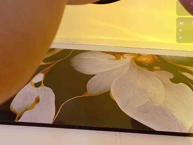 bloomsdream webcam