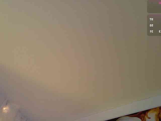 bloomsdream webcam