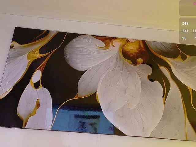 bloomsdream webcam