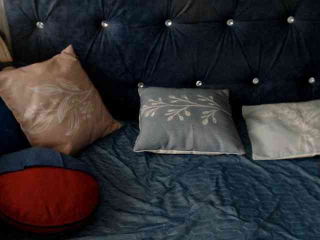 DragonFly7223 webcam