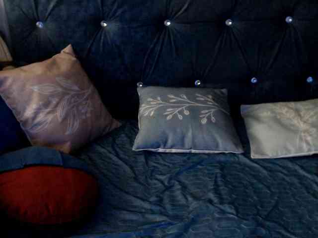 DragonFly7223 webcam