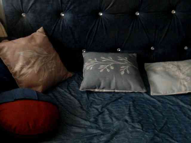 DragonFly7223 webcam