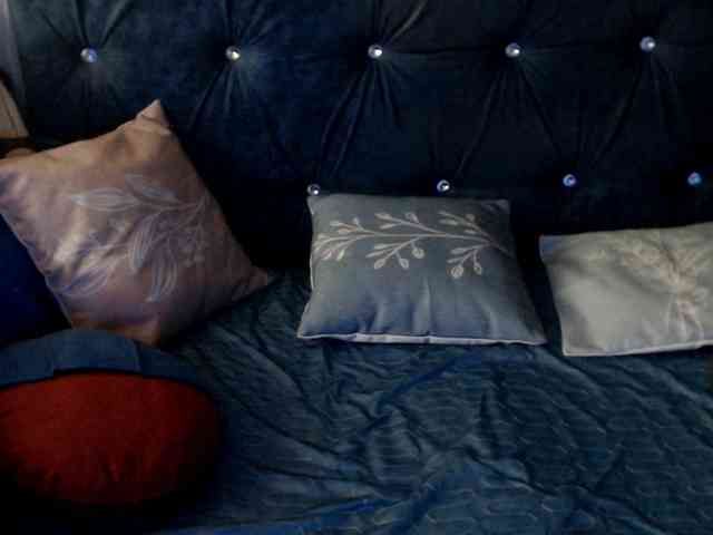 DragonFly7223 webcam