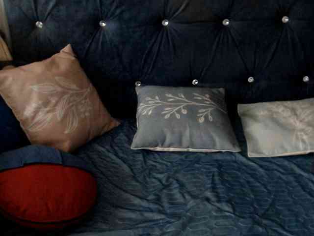 DragonFly7223 webcam