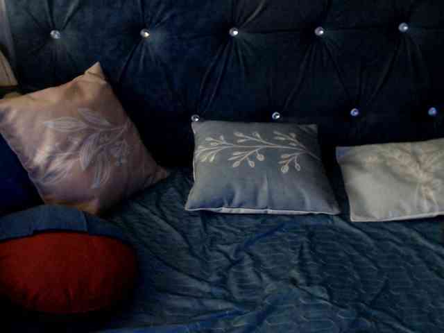 DragonFly7223 webcam