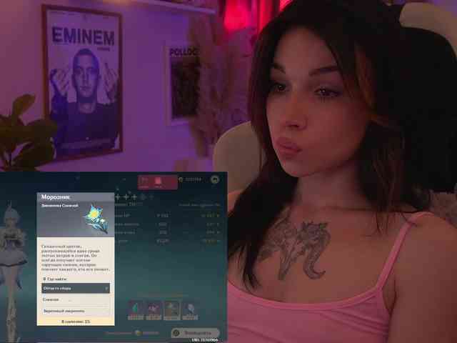Akaruii webcam