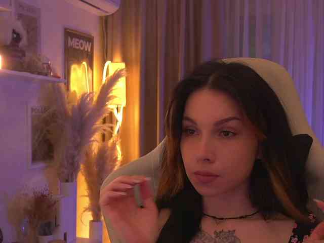 Akaruii webcam