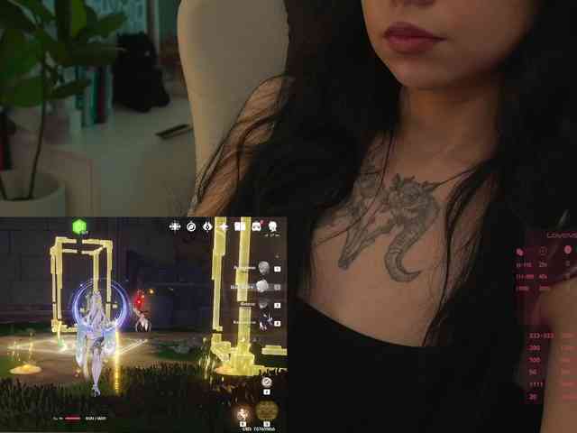 Akaruii webcam