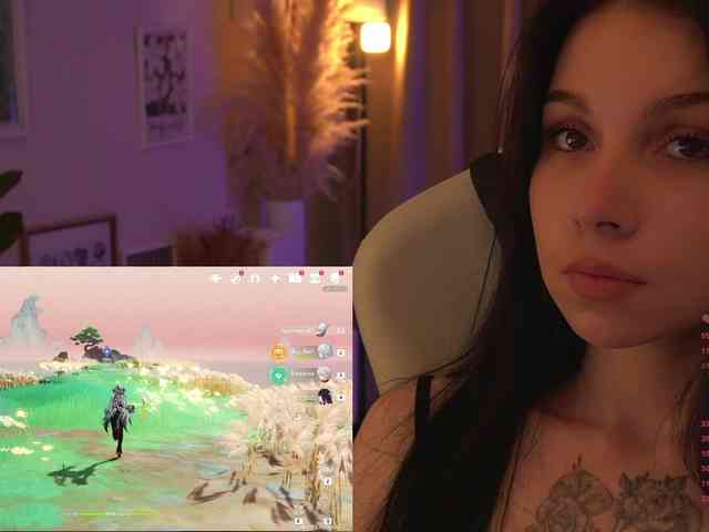 Akaruii webcam