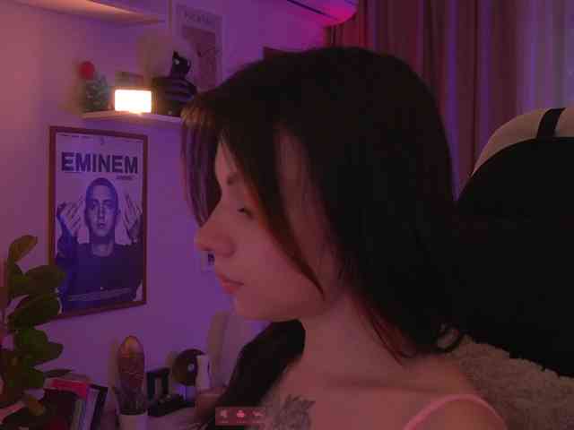 Akaruii webcam