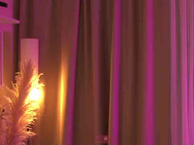 Akaruii webcam