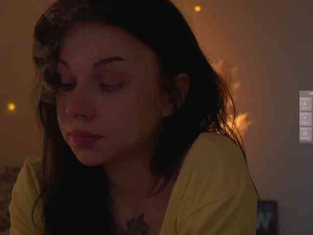 Akaruii webcam