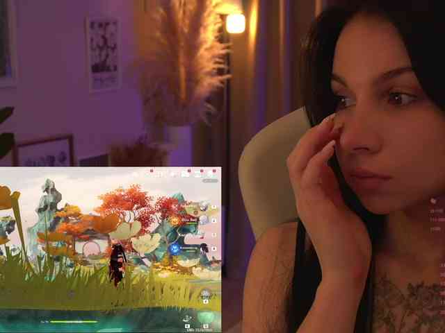 Akaruii webcam