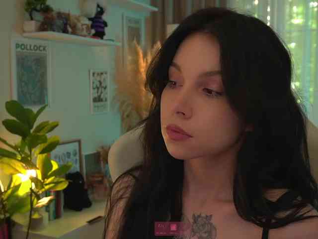 Akaruii webcam
