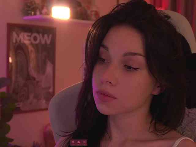 Akaruii webcam