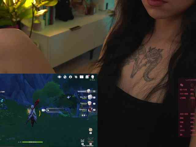 Akaruii webcam
