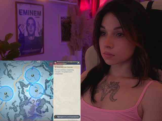 Akaruii webcam