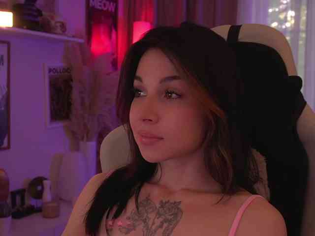 Akaruii webcam