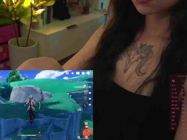 Akaruii webcam