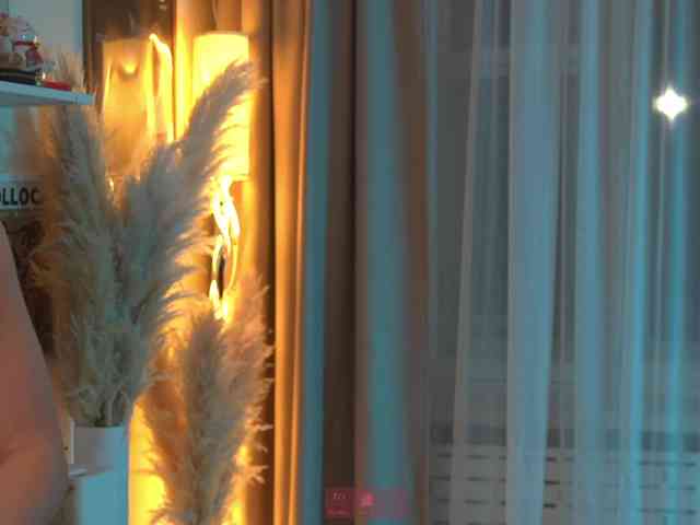 Akaruii webcam