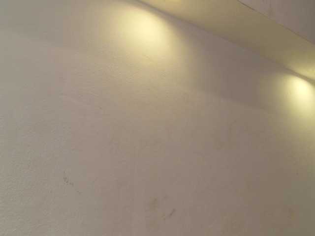 Sofydoll420 live cam on BongaCams