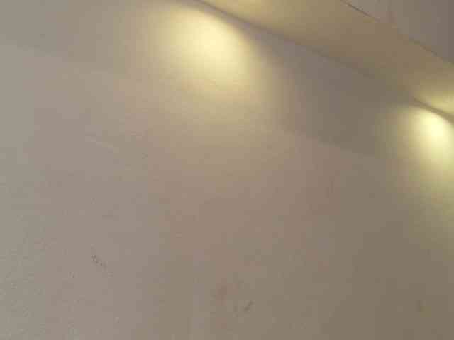 Sofydoll420
