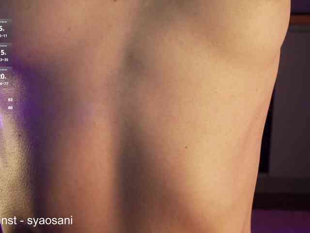 SyaoSan webcam