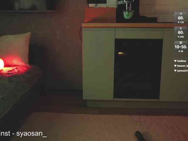 SyaoSan webcam