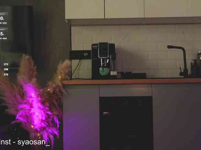 SyaoSan webcam