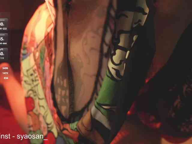 SyaoSan webcam