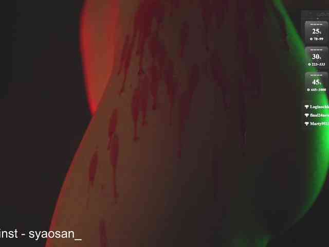 SyaoSan webcam