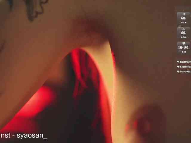 Модель: SyaoSan